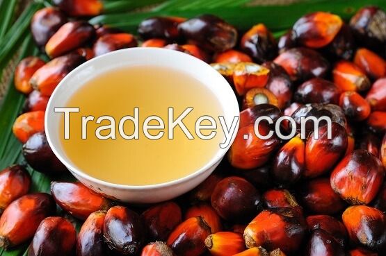 Palm Oil