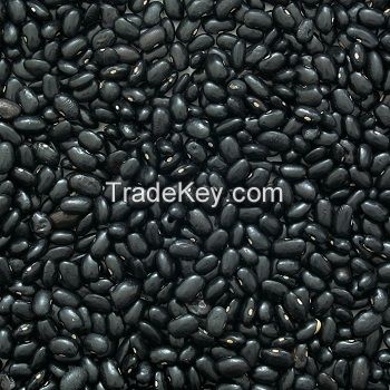 Black Beans