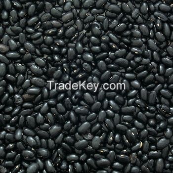 Black Beans 