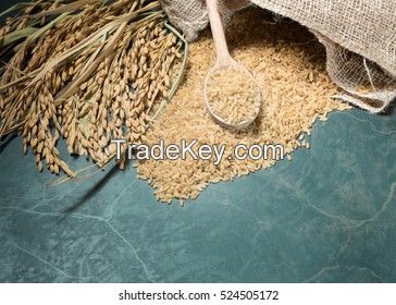 Organic rice