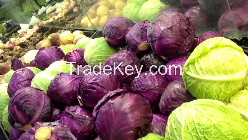 Red Cabbage