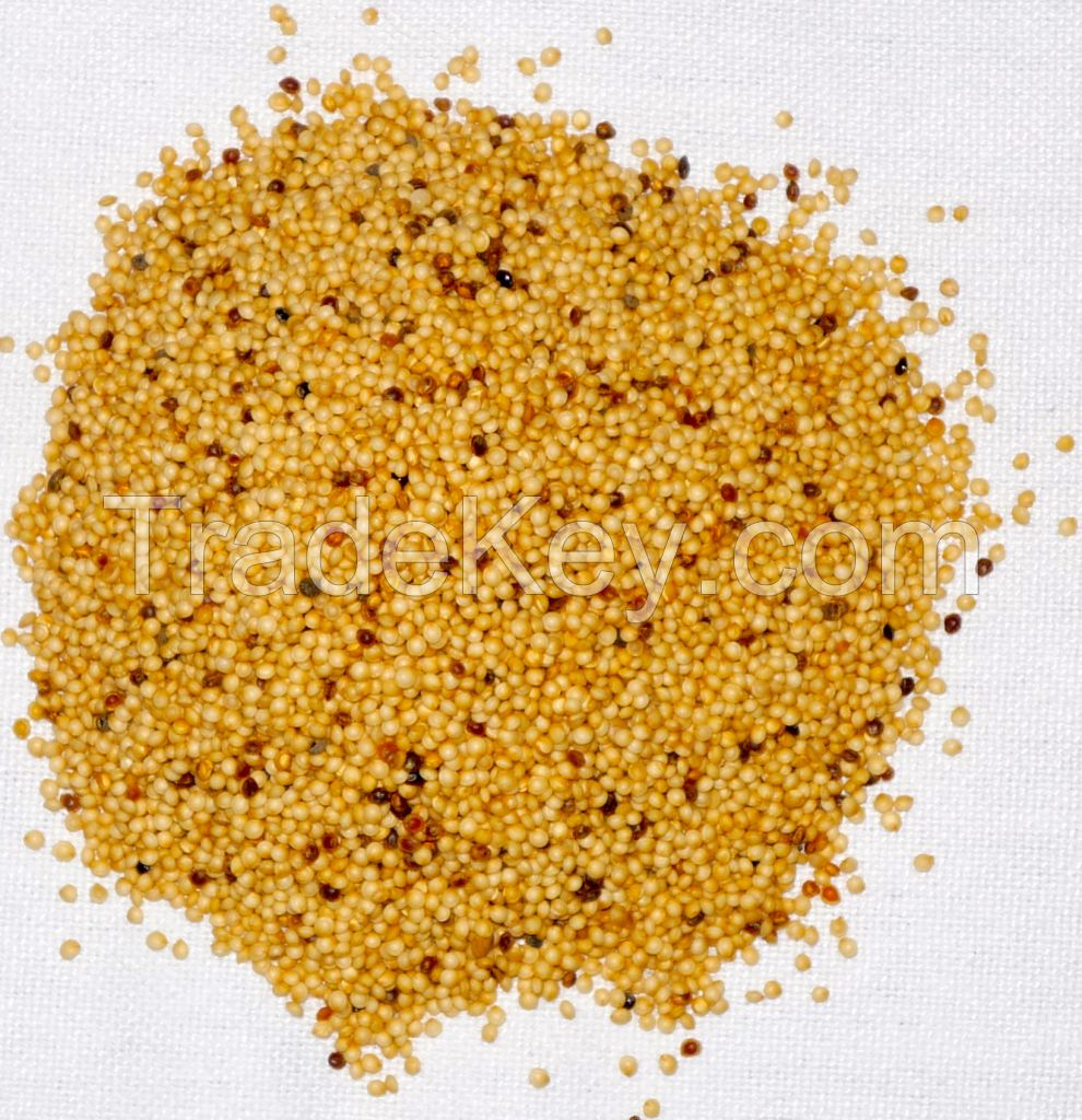 Amaranth Seeds for Sale**