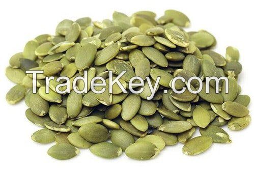 Fresh Pumpkin seed