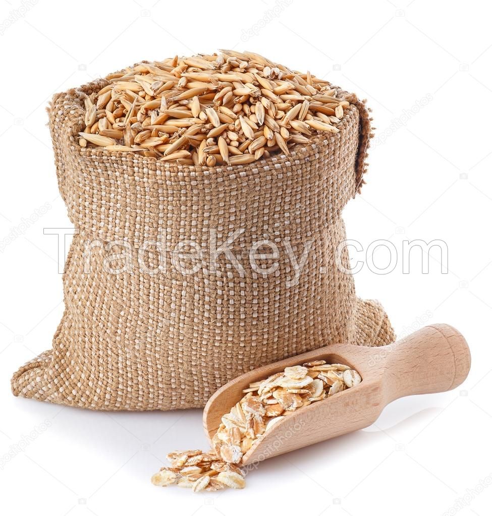 Oats grains