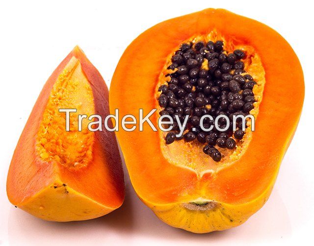 High Quality Green/yellow Papayas 100% Natural Vietnam PAPAYA Oval a Grade Yellow Sunrise Papaya Fruit Sweet 2 Kg Fresh 1-3 Week