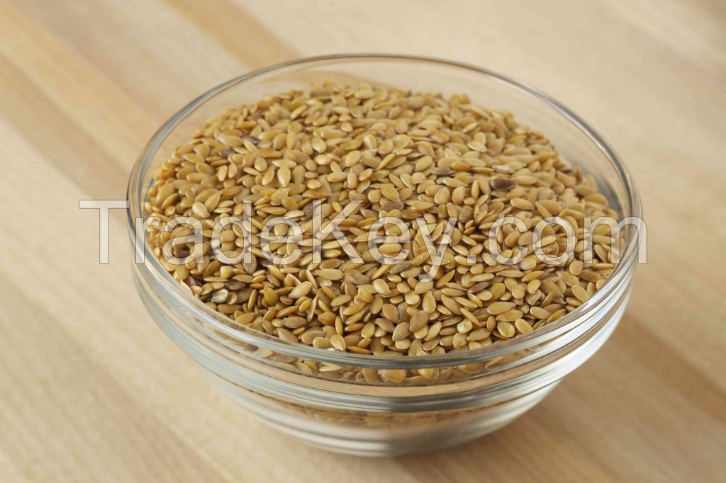 wholesales South Africa  Linseed flax seed Golden brown color flax seed for oil