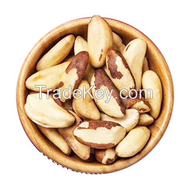 Fresh Brazil Nuts Bulk /Raw Brazilian Nuts Wholesale