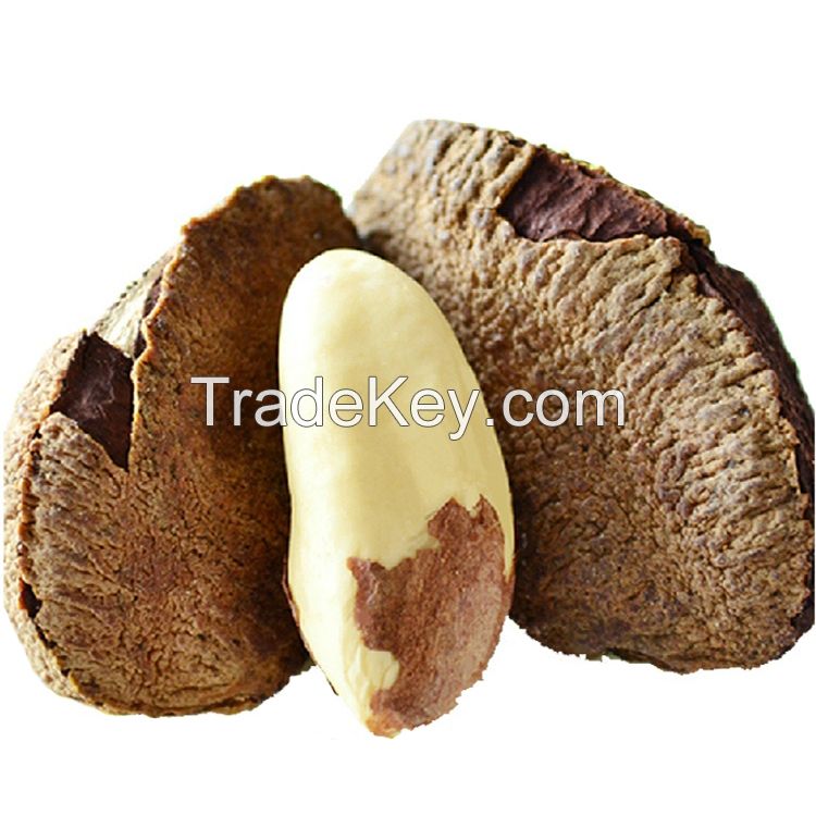 Fresh Brazil Nuts Bulk /Raw Brazilian Nuts Wholesale