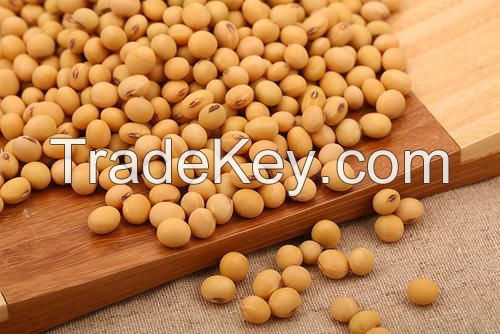 High Quality Premium Natural and Non- GMO Yellow Soybean Seeds / Soya Bean /Soy Beans