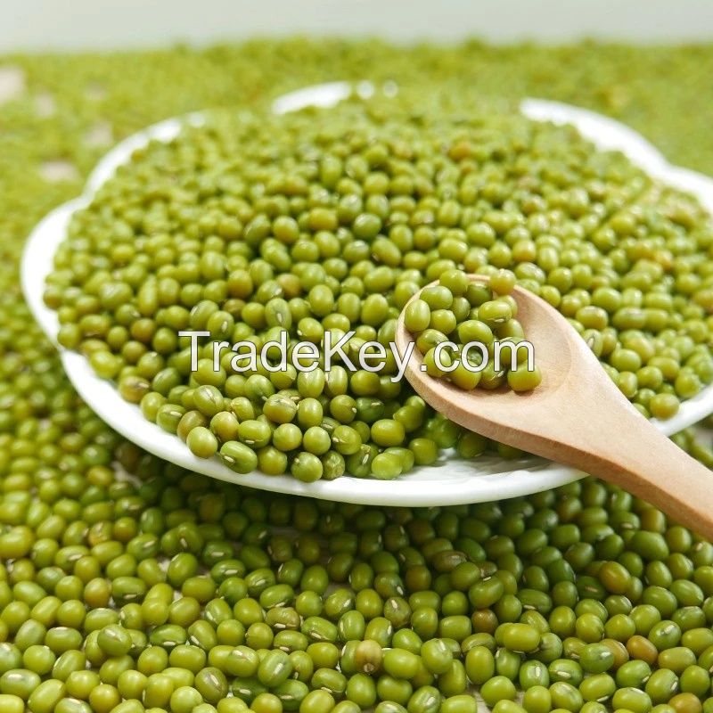 small size,2.6mm-3.5mm high quality moong dal price Green Mung Beans for sprouting