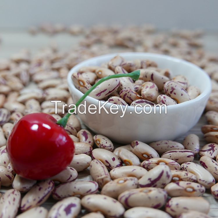 TTN Export Sale Dry Red Speckled Kidney Beans