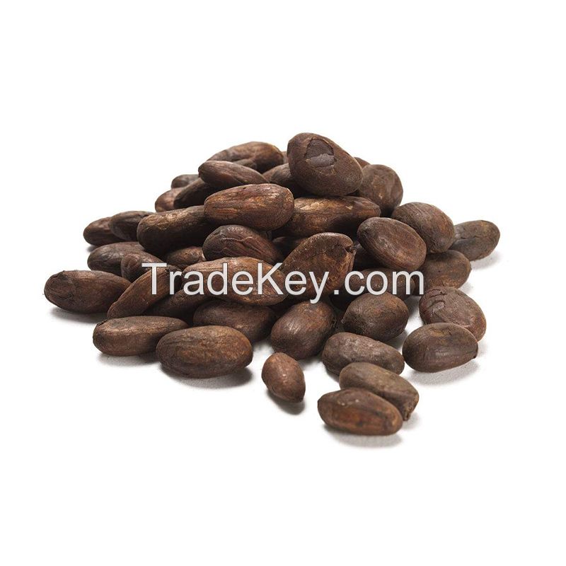 Organic Dry Cocoa Beans for Sale