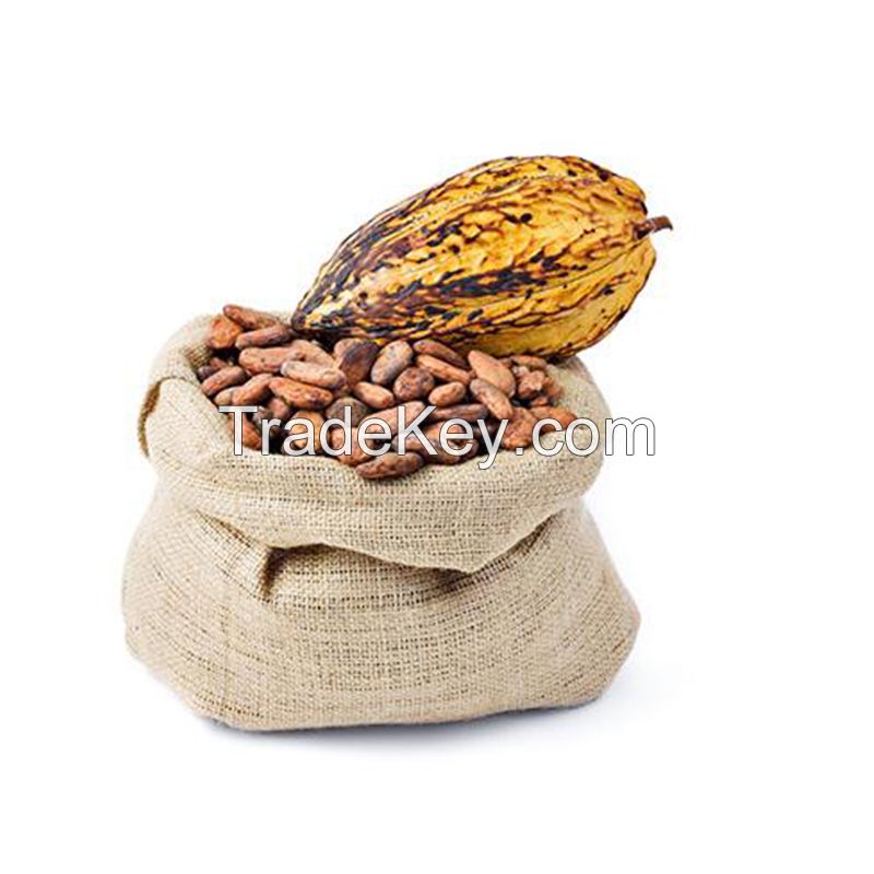 Organic Dry Cocoa Beans for Sale