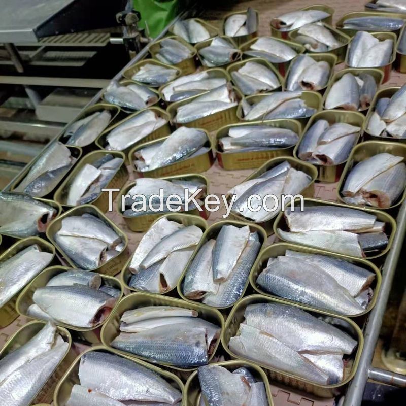 Wholesale Top Grade Canned Sardin in Oil Canned Sardines Manufacturers Tinned Fish