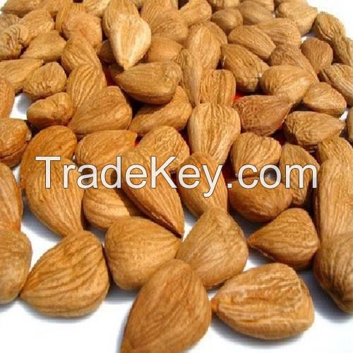 Raw apricot seeds/apricot kernels for sale SWEET AND BITTER APRICOTFrom South Africa