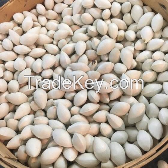 High Quality Ginkgo Nuts Roasted Ginko Nuts for Sale