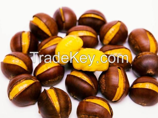 Frozen fresh sweet roasted chestnuts whole snack food frozen vegetable chestnuts price