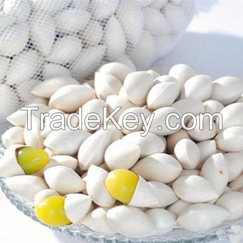 High Quality Ginkgo Nuts Roasted Ginko Nuts for Sale