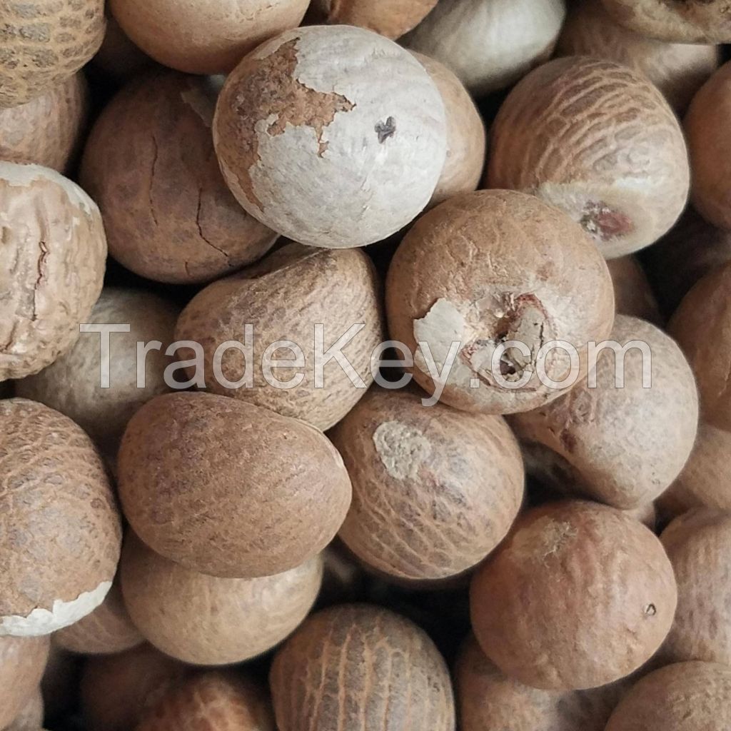 Betel Nuts / Whole And Split Betel Nuts Best Price Top Quality Manufacturer From Thailand In Bulk