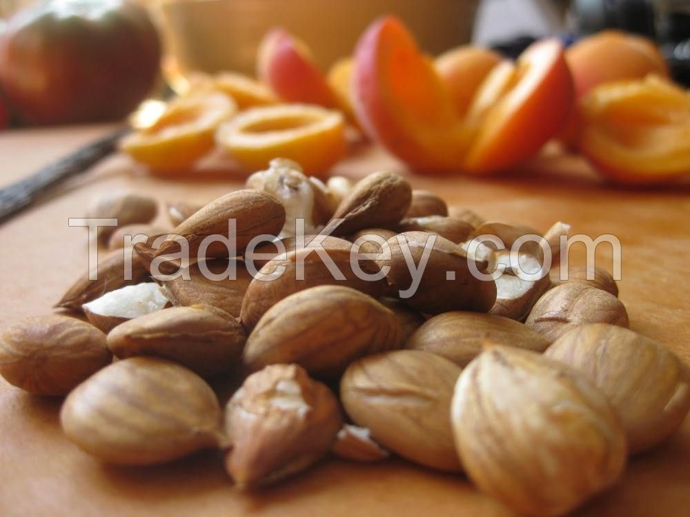 Raw apricot seeds/apricot kernels for sale SWEET AND BITTER APRICOTFrom South Africa 