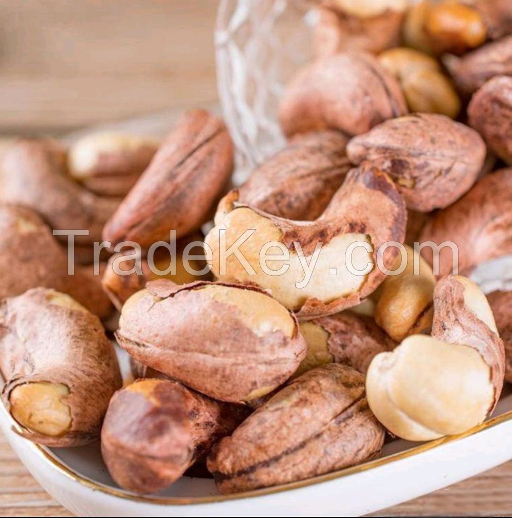 Big grain salt baked cashew nuts bulk wholesale sales