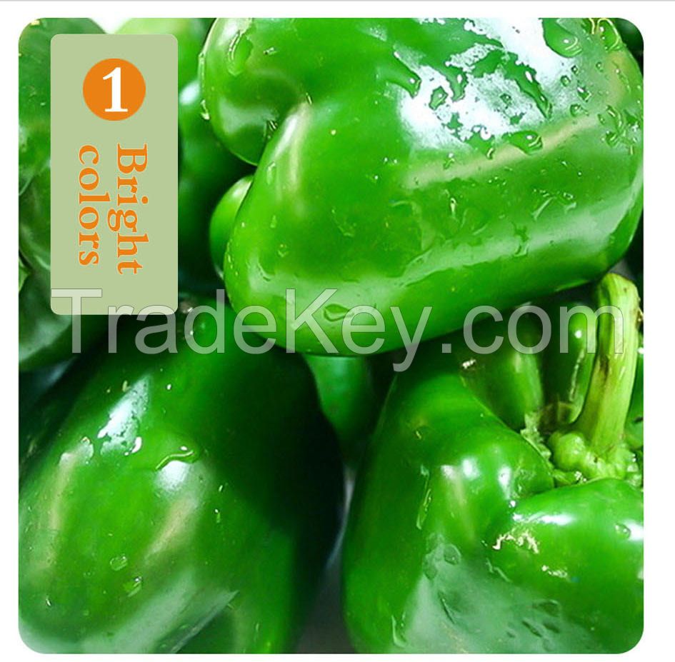 Fresh Capsicum/ Sweet pepper/ Color Sweet pepper