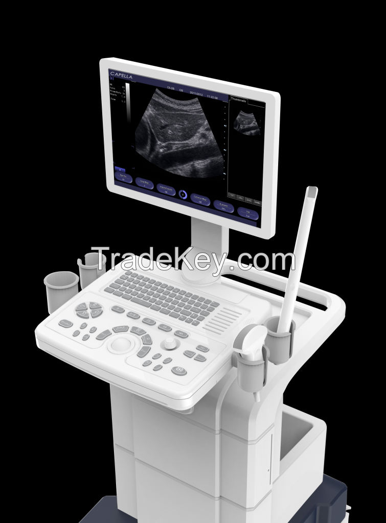B/W Ultrasound EVE 20S