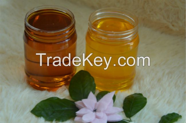 village camellia oil