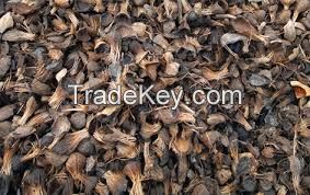 PALM KERNEL SHELL