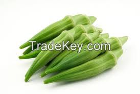 Okra