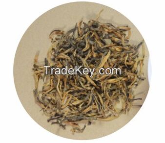 Golden Bud of Dianhong Tea