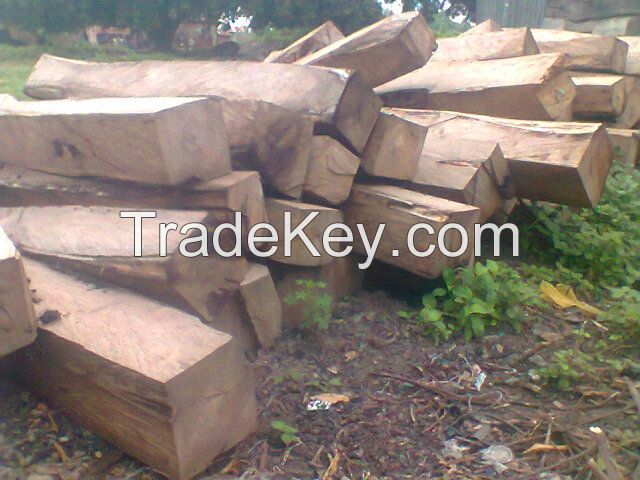 Kosso Wood 