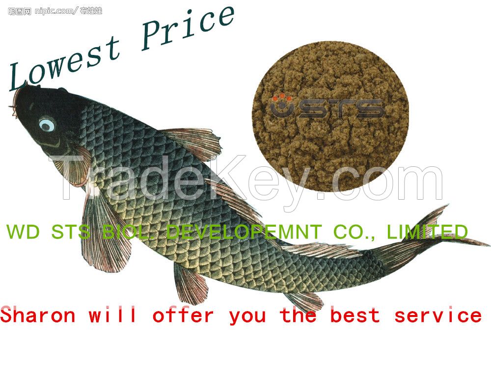 Fish meal with 65% protein for animal feed chincken feed 