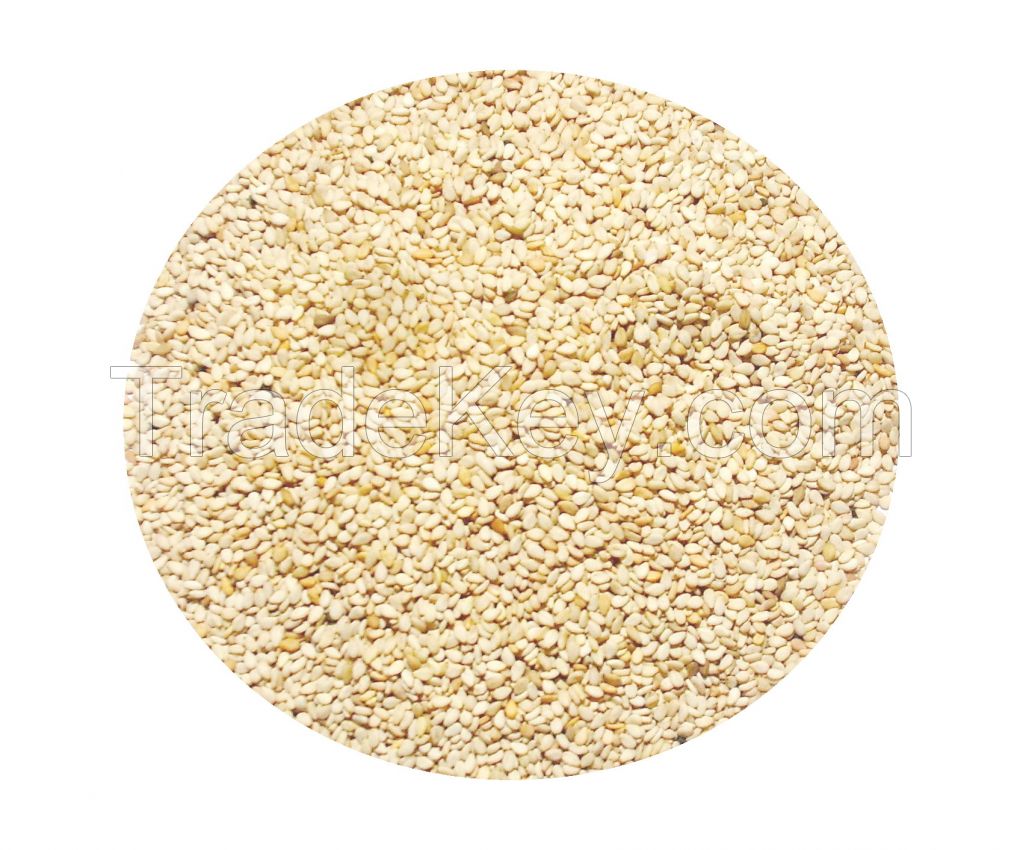 Sesame Seeds