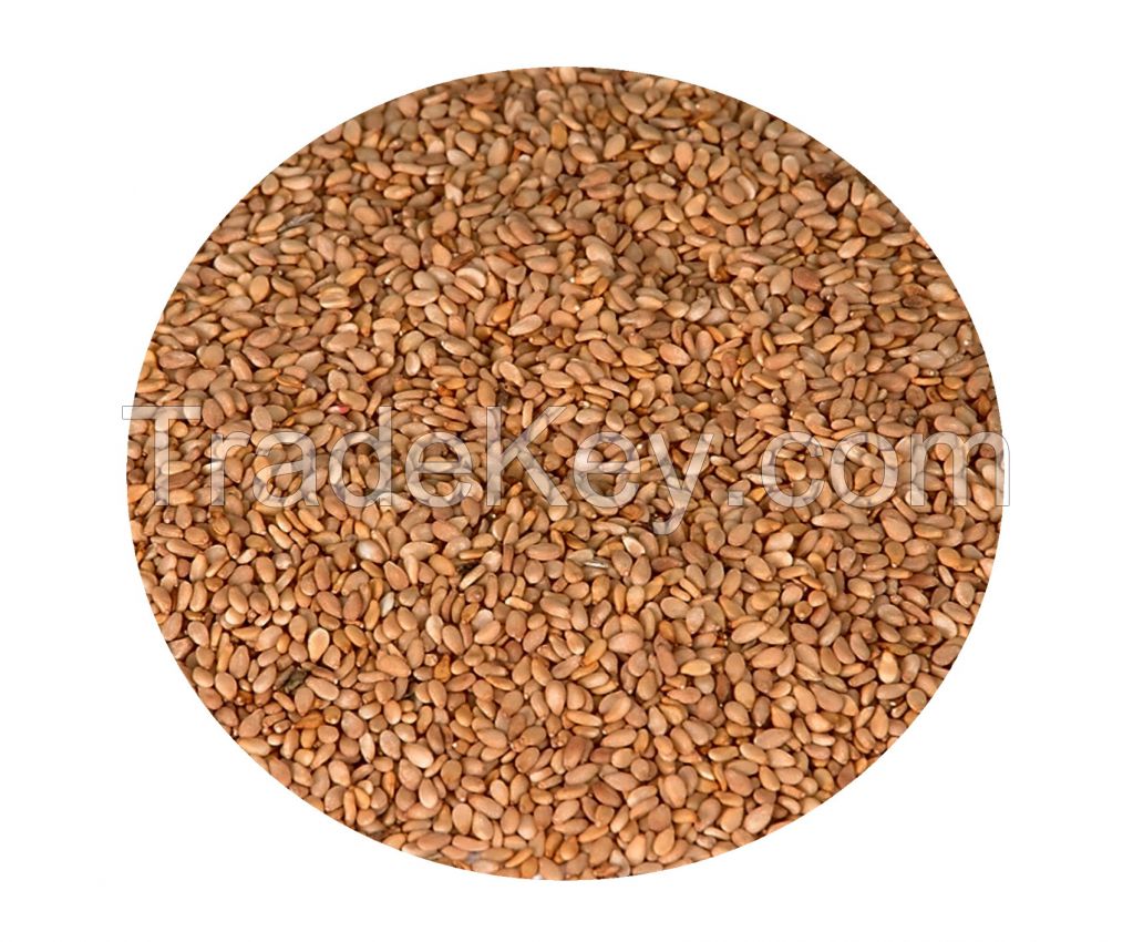 Sesame Seeds