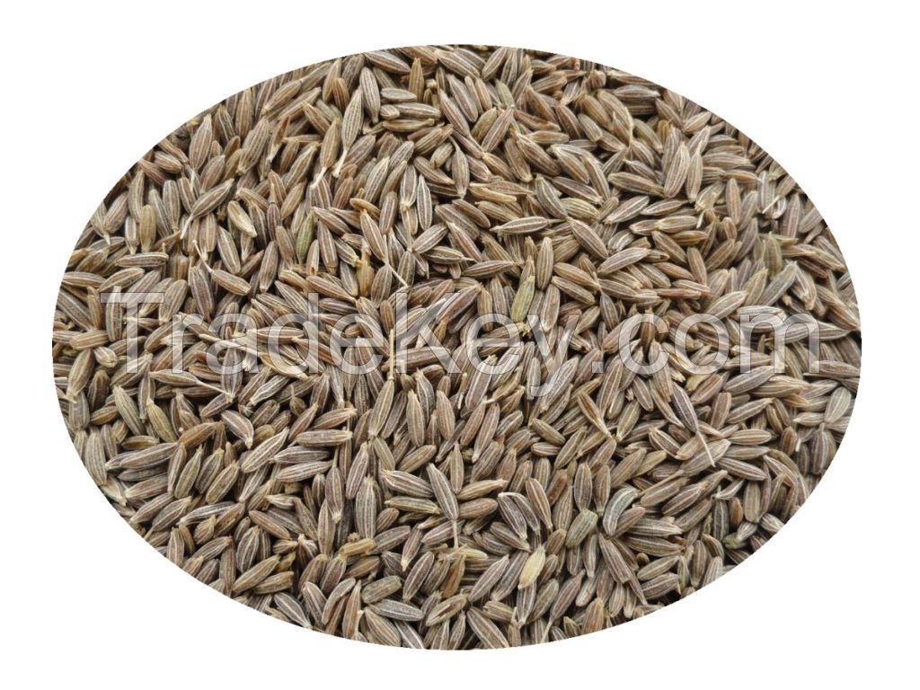 Cumin