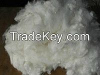 Spinning Polyester Stape Fiber