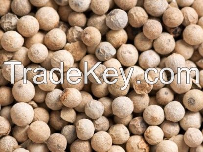 Hot Product Thailand Dried Raw and Powder White Black Pepper For Sale