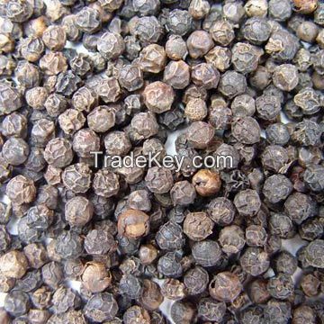100% quality black and white pepper now ready for market