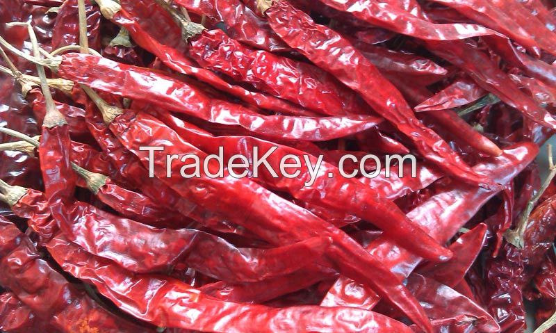 100% quality Chili pepper now ready for market Raw and Powder Chili