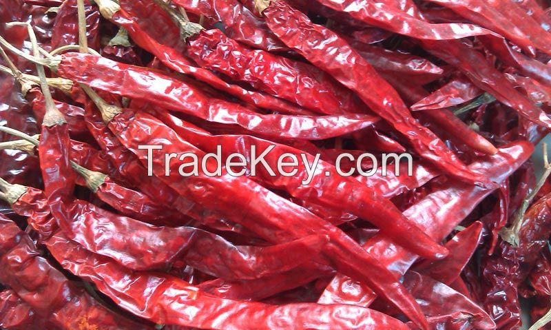 Dried quality Chili pepper Ready for Market