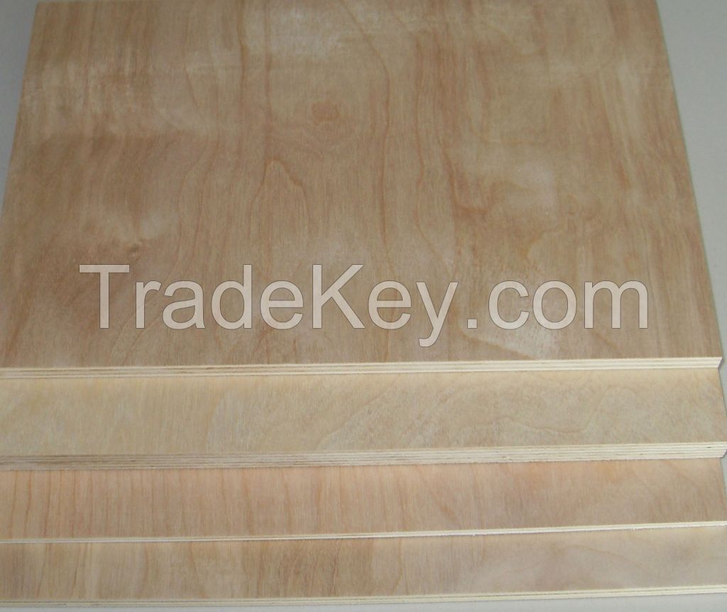  E1 grade 12mm birch plywood