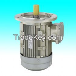 Y2 series 2-pole three phase asynchronous motor (Aluminum)