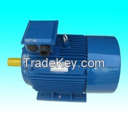 Y2 series 2-pole three phase asynchronous motor (Iron)