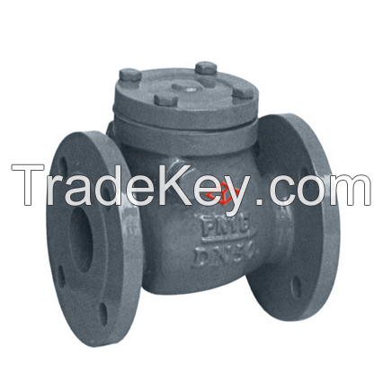 DIN Cast Iron Check Valve with CE and ISO9001