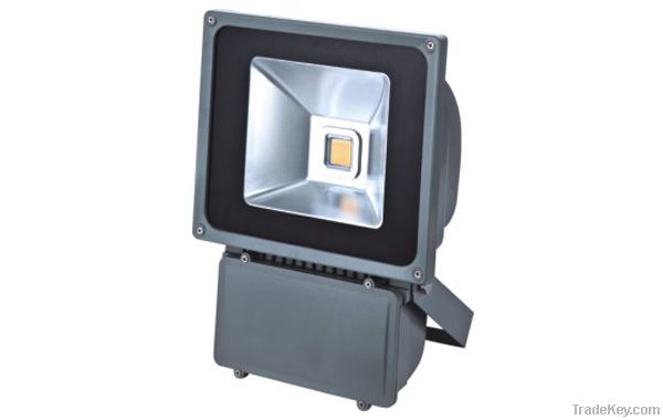 LED Flood Light