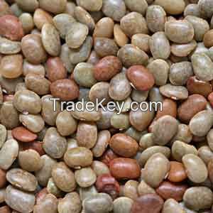 Horsegram ( Kolatha / Kollu / Kaanam ) Pulses