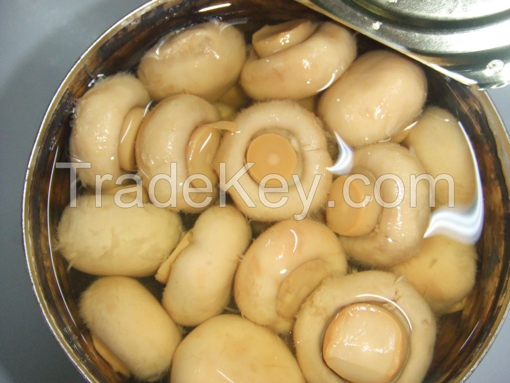 Canned Mushroom  whole/pns in brine made in china factory