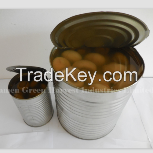 Chinese canned whole mushroom champignon in brine