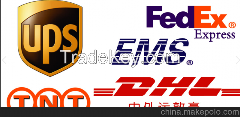 Supply DHL From shenzhen to the United States